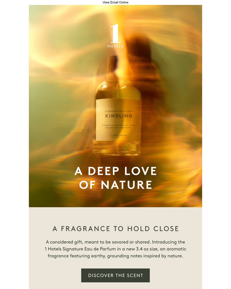 Screenshot of email sent to a 1 Hotels Newsletter subscriber