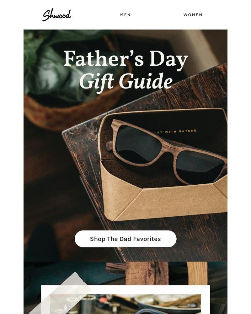 Screenshot of email with subject /media/emails/a-frame-for-every-dad-archetype-376f02-cropped-335379db.jpg