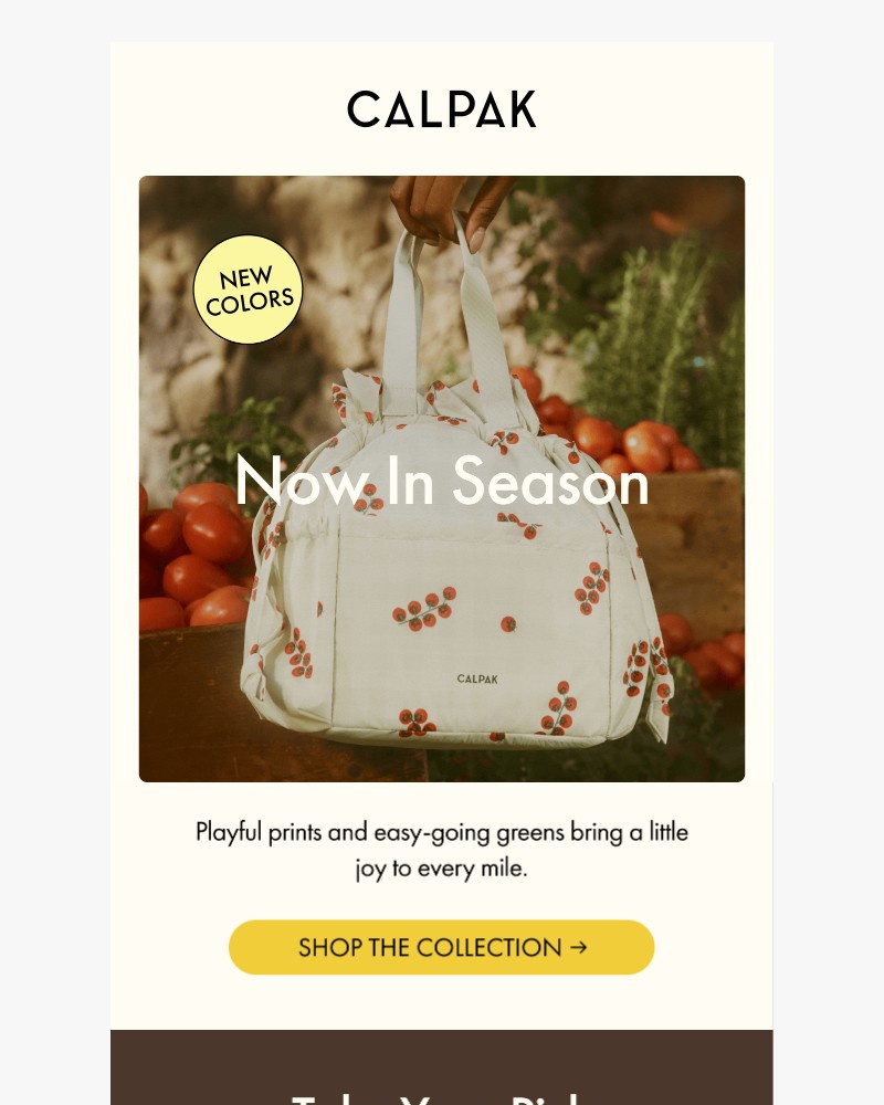 Screenshot of email sent to a Calpak Newsletter subscriber