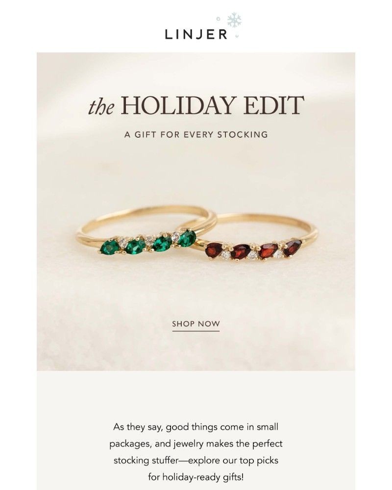 Screenshot of email sent to a Linjer Newsletter subscriber