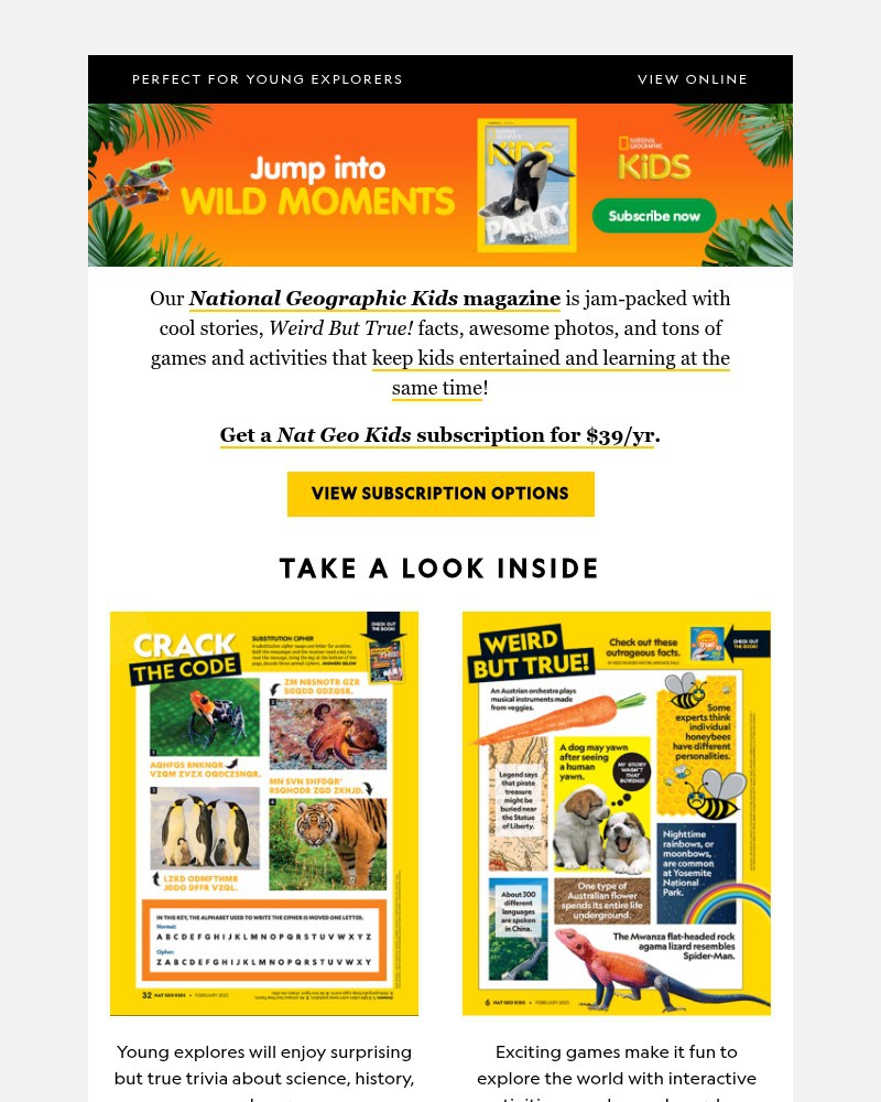 Screenshot of email with subject /media/emails/a-gift-theyll-open-all-year-longjust-39yr-fe1ef0-cropped-a063d8e0.jpg