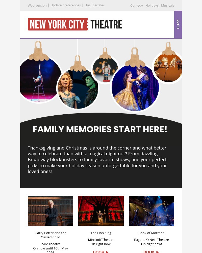Screenshot of email sent to a New York City Theatre Newsletter subscriber