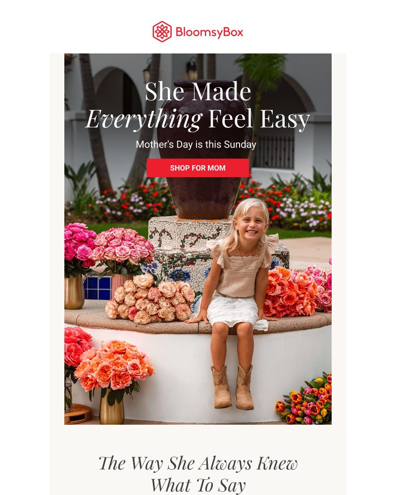 Screenshot of email with subject /media/emails/a-hug-for-mom-delivered-ad96ef-cropped-640e2aa2.jpg