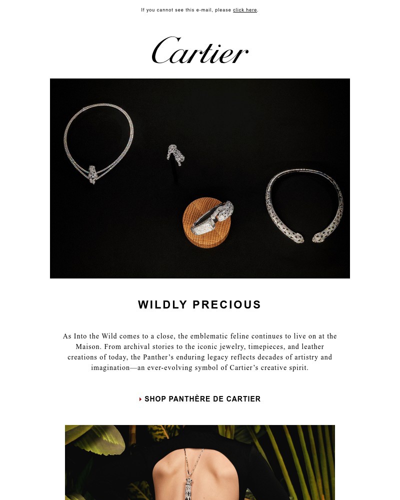 Screenshot of email sent to a Cartier Newsletter subscriber