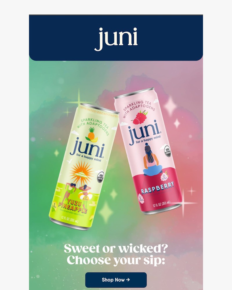 Screenshot of email sent to a Juni Newsletter subscriber