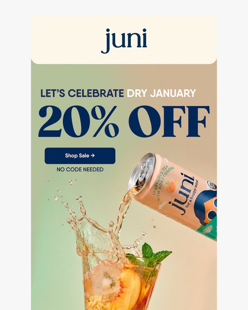 Screenshot of email sent to a Juni Newsletter subscriber