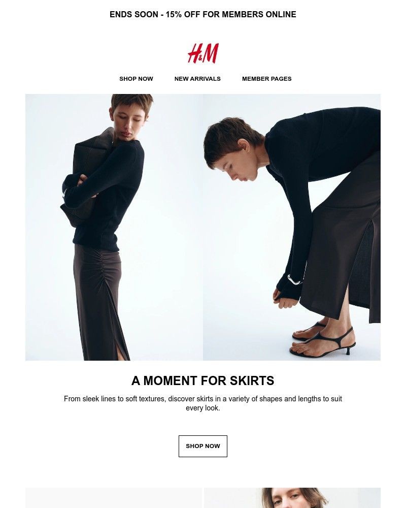 Screenshot of email with subject /media/emails/a-moment-for-skirts-9de249-cropped-ef114528.jpg