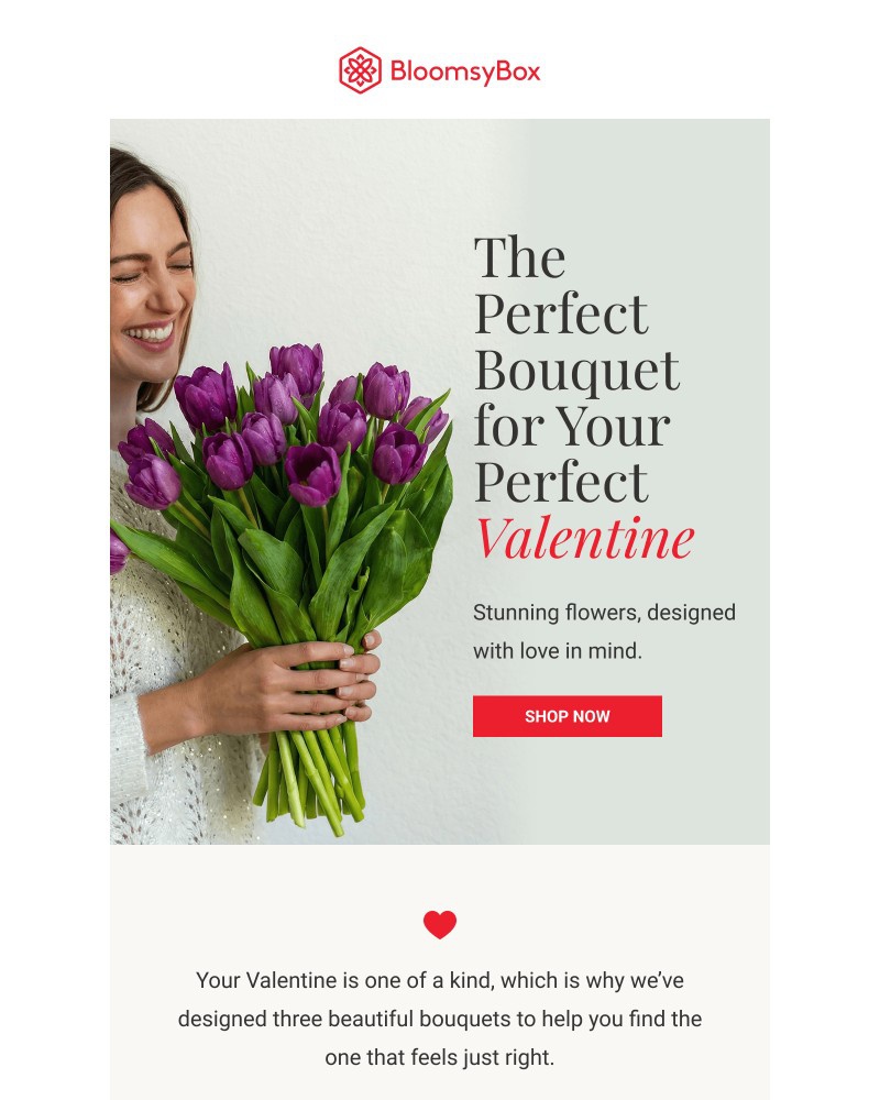 Screenshot of email sent to a Chococurb Newsletter subscriber