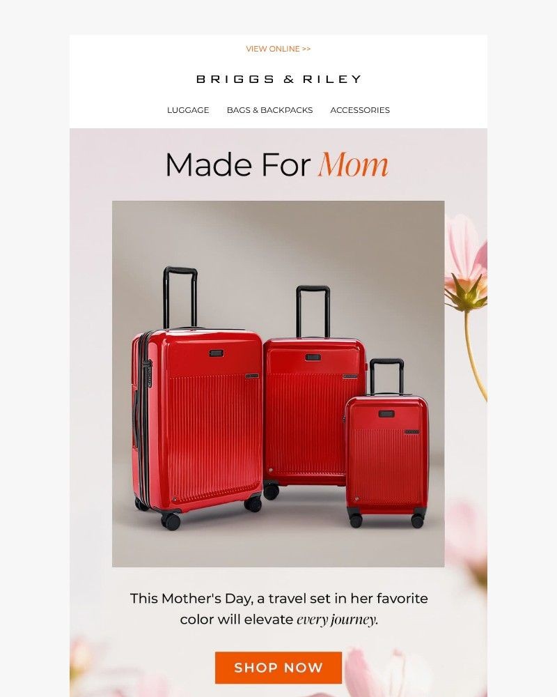 Screenshot of email with subject /media/emails/a-mothers-day-gift-that-matches-her-style-54abed-cropped-87015557.jpg