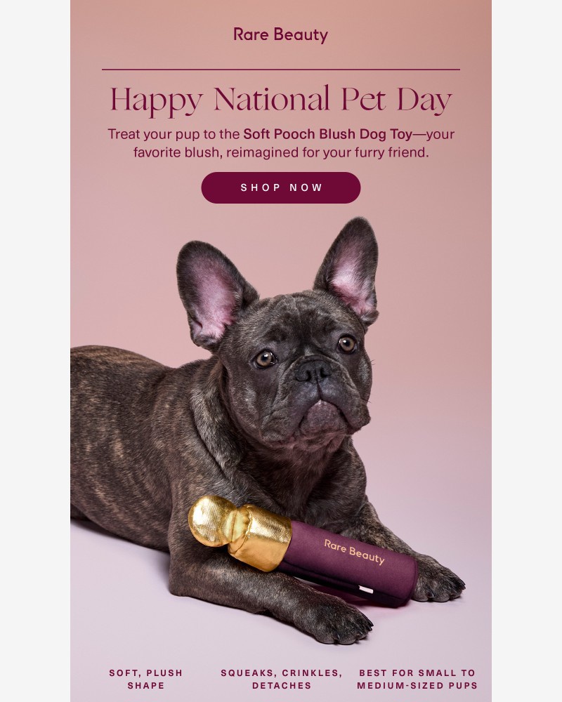 Screenshot of email sent to a Rare Beauty Newsletter subscriber