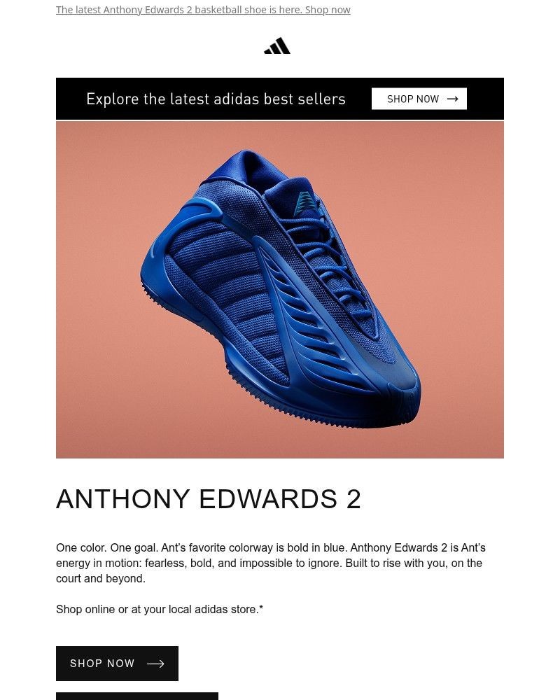 Screenshot of email with subject /media/emails/a-new-anthony-edwards-2-colorway-just-dropped-fdbbc0-cropped-c13d5617.jpg