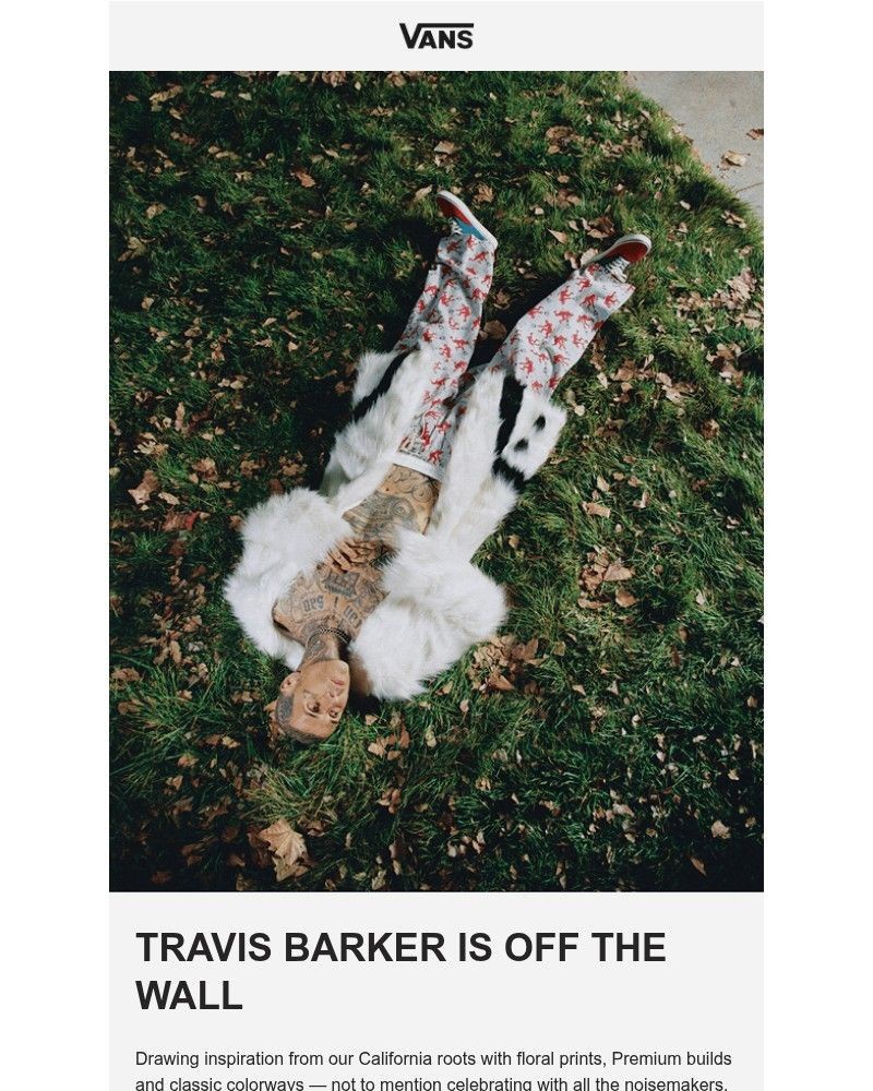 Screenshot of email sent to a Vans Registered user