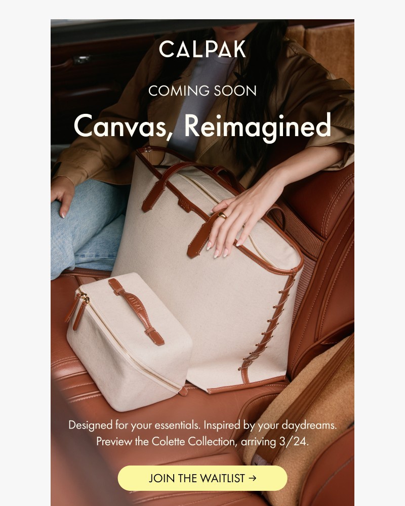 Screenshot of email with subject /media/emails/a-new-canvas-is-coming-b8d083-cropped-458091d6.jpg