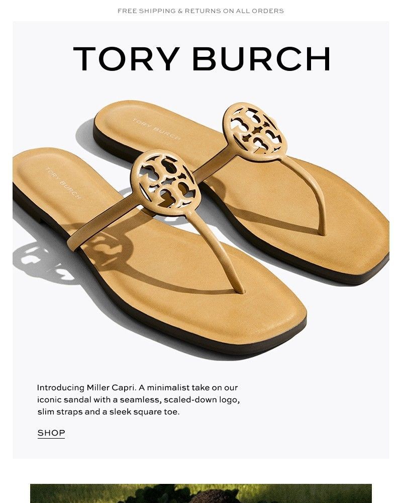 Screenshot of email with subject /media/emails/a-new-miller-1e5ca7-cropped-e17fc4dd.jpg