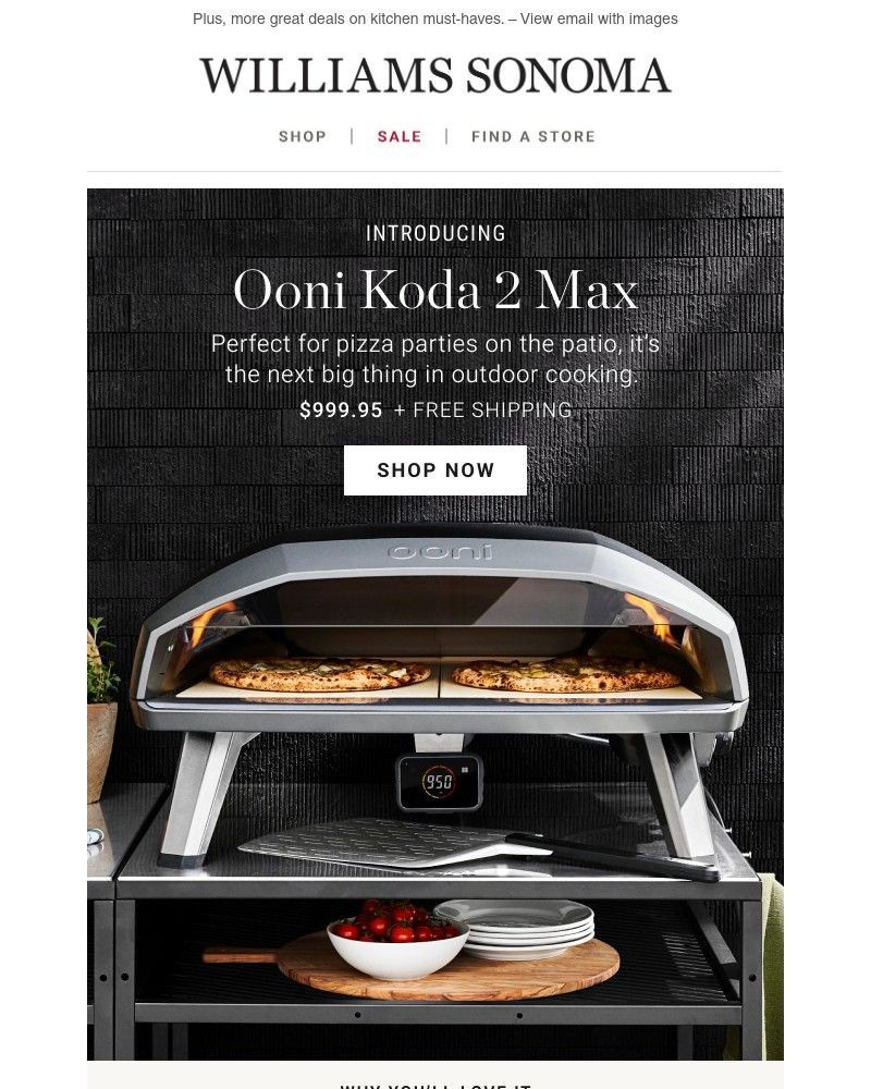 Screenshot of email with subject /media/emails/a-new-pizza-legend-rises-ooni-koda-2-max-71709e-cropped-2b1a1a1f.jpg