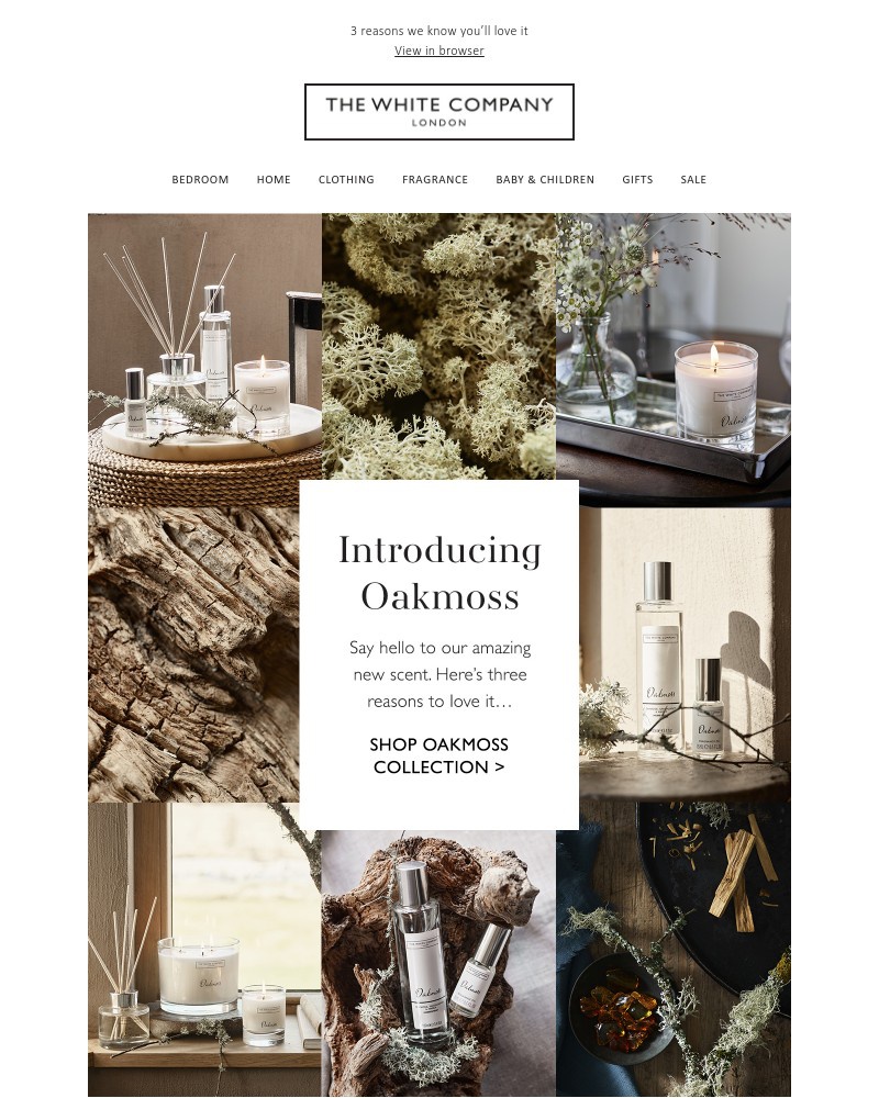 Screenshot of email with subject /media/emails/a-new-scent-for-a-new-season-4d6b94-cropped-2ca9d256.jpg