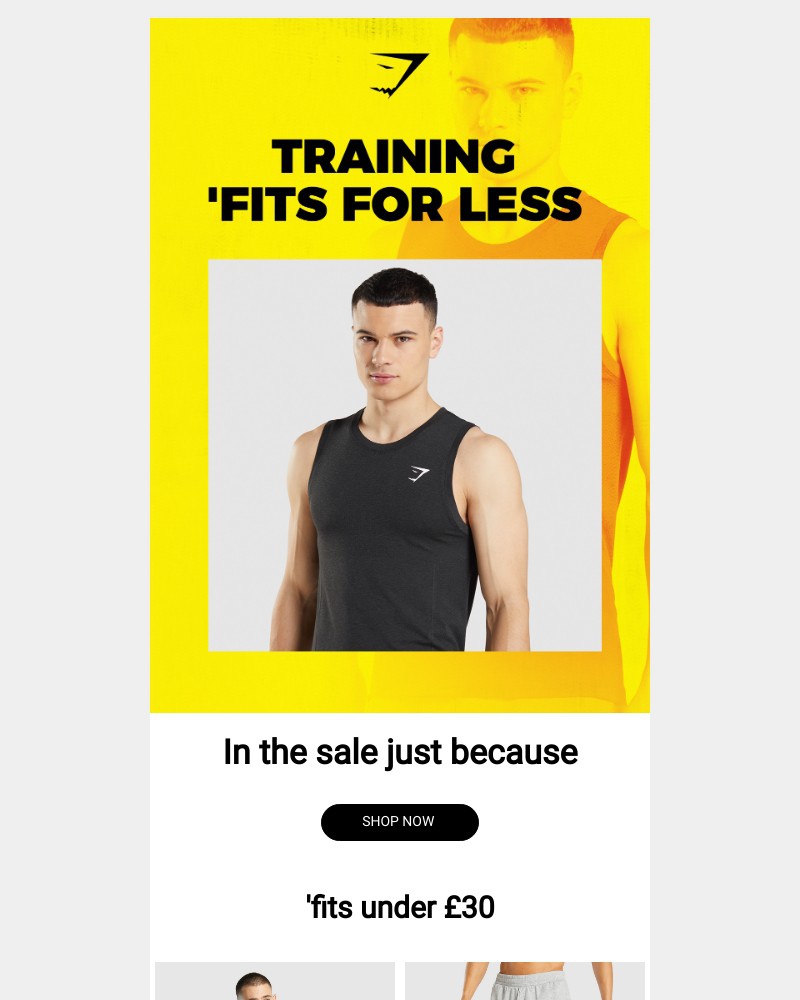 Screenshot of email with subject /media/emails/a-new-training-fit-for-less-than-30-448ef6-cropped-77cb2d82.jpg