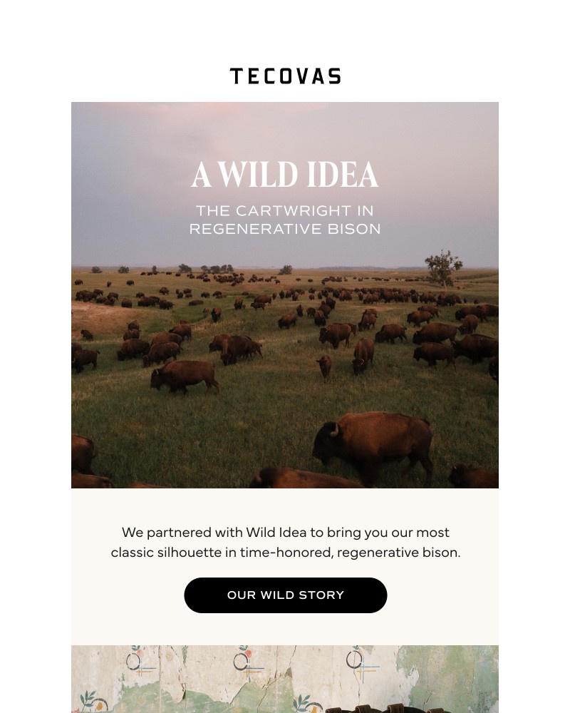 Screenshot of email with subject /media/emails/a-new-wild-boot-775927-cropped-0f3ab5b6.jpg