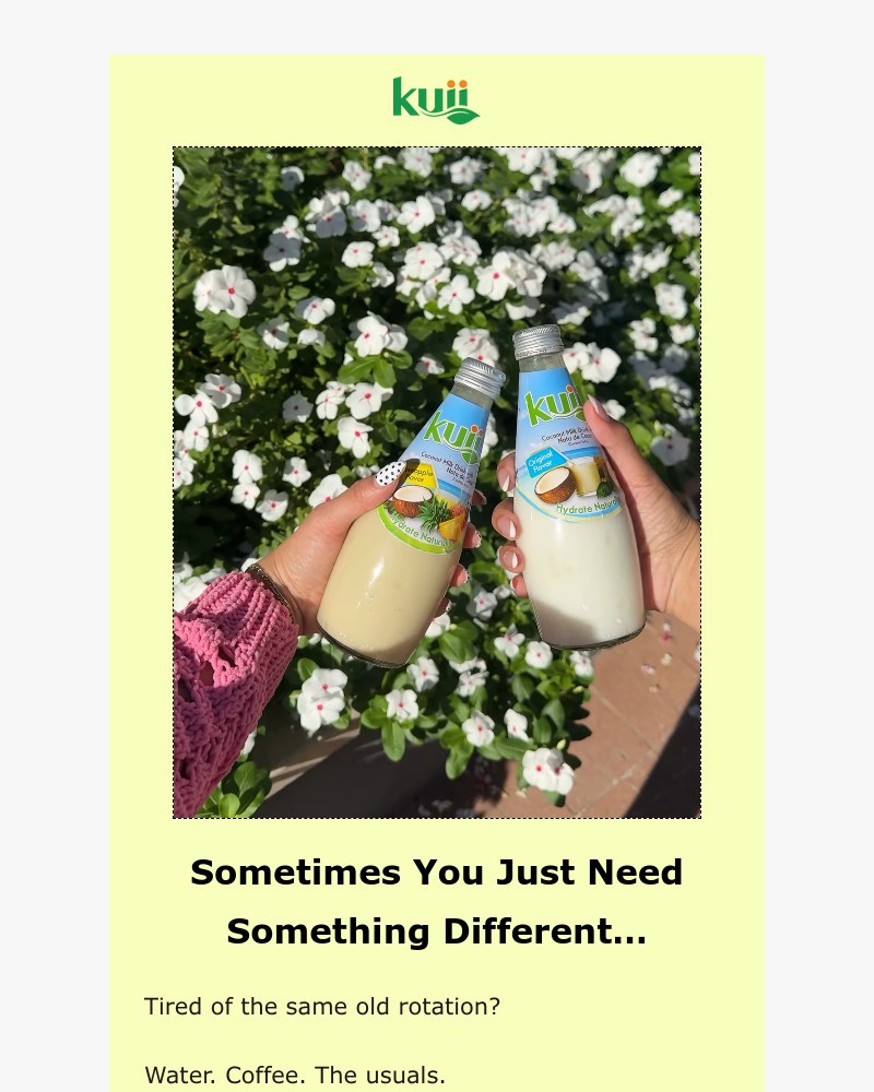 Screenshot of email sent to a Kuii Newsletter subscriber