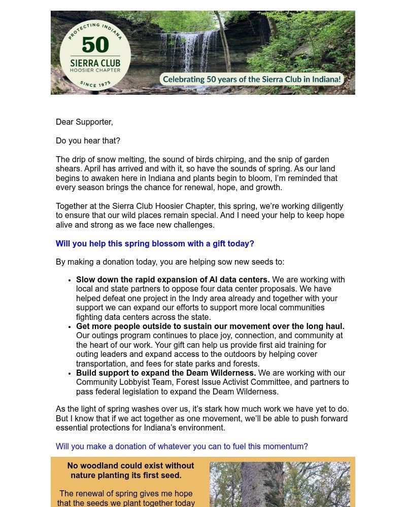 Screenshot of email with subject /media/emails/a-note-from-our-director-1a8905-cropped-466a4f8f.jpg