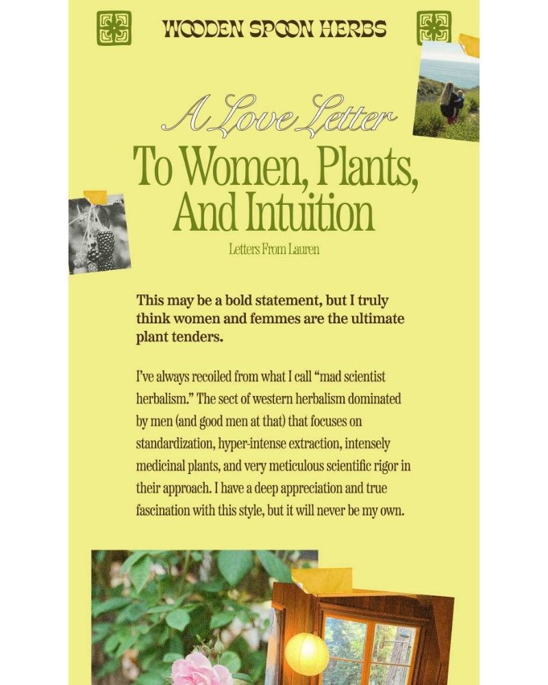 Screenshot of email sent to a Wooden Spoon Herbs Newsletter subscriber
