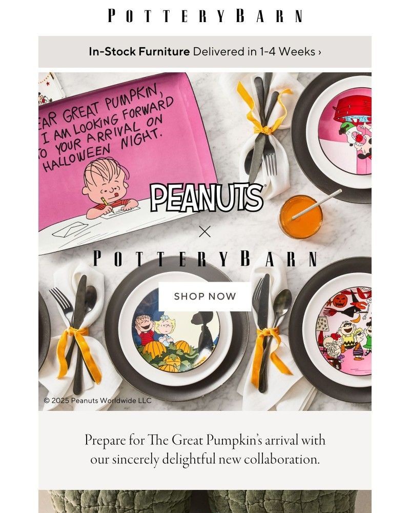 Screenshot of email with subject /media/emails/a-peanuts-x-pottery-barn-halloween-386fa4-cropped-7d2f8887.jpg