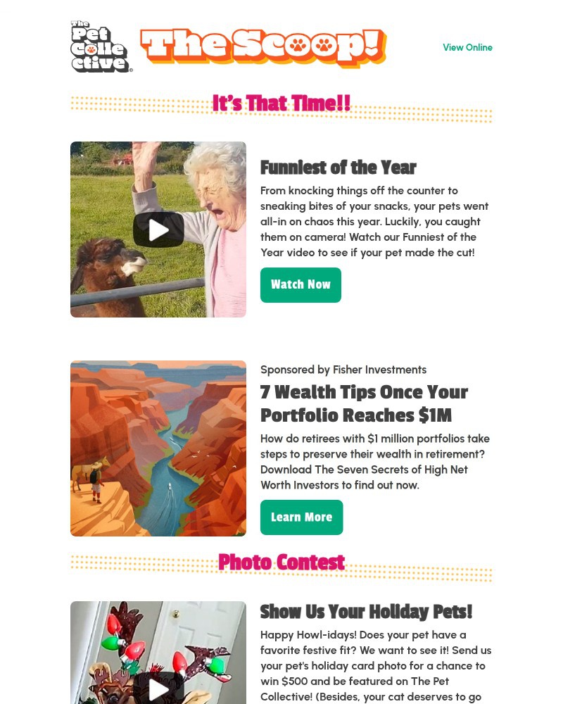Screenshot of email with subject /media/emails/a-pelican-tries-to-eat-a-little-girl-dont-worry-its-funny-c47704-cropped-ceebba08.jpg