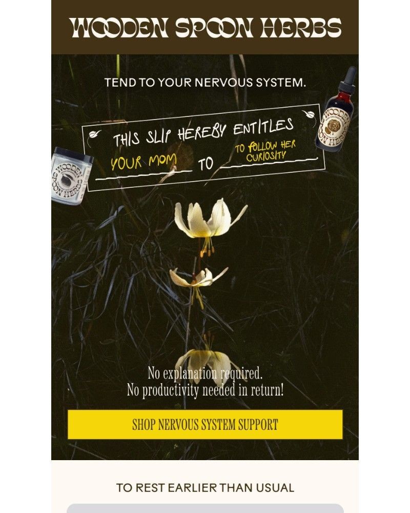 Screenshot of email with subject /media/emails/a-permission-slip-for-your-nervous-system-66516e-cropped-ace0018a.jpg