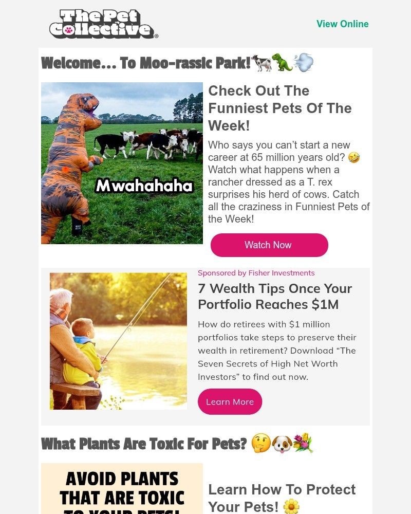 Screenshot of email with subject /media/emails/a-prehistoric-prank-sent-these-cows-running-4518e4-cropped-3d3aa8fc.jpg