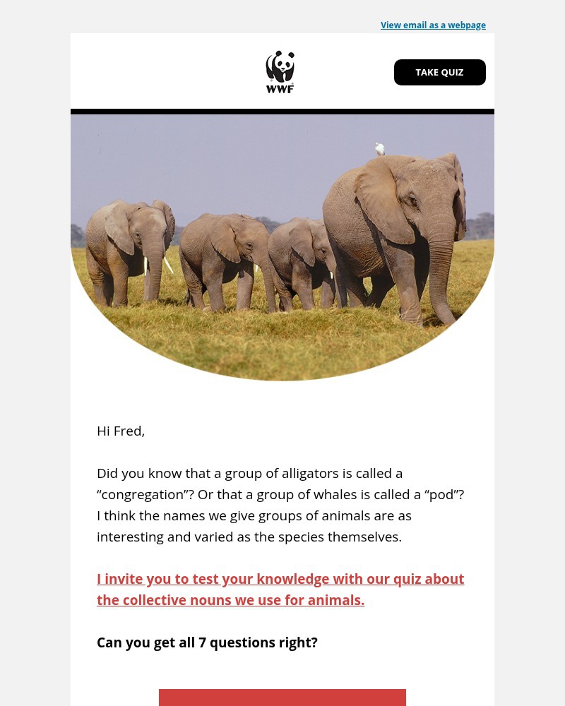 Screenshot of email with subject /media/emails/a-quick-quiz-for-animal-lovers-like-you-1875dd-cropped-60a4b51e.jpg