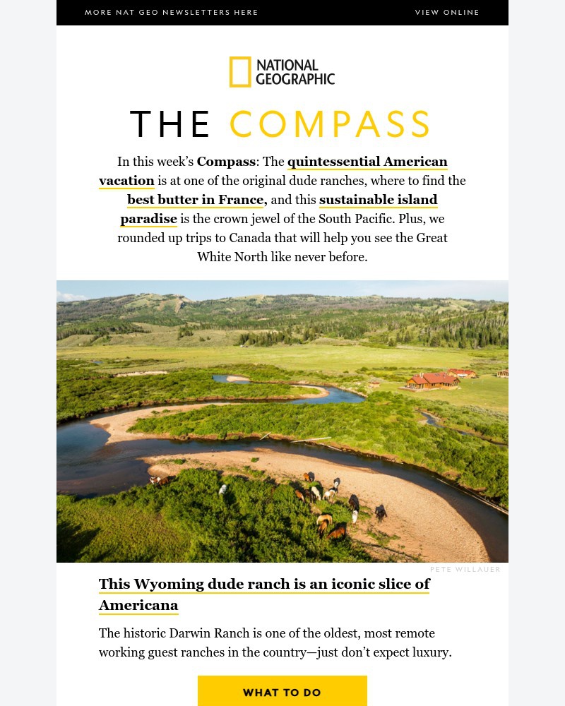 Screenshot of email sent to a National Geographic Newsletter subscriber