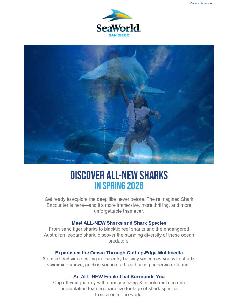 Screenshot of email sent to a Sea World Newsletter subscriber