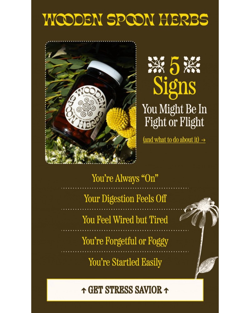 Screenshot of email with subject /media/emails/a-reset-for-your-nervous-system-696b88-cropped-616cfd1c.jpg