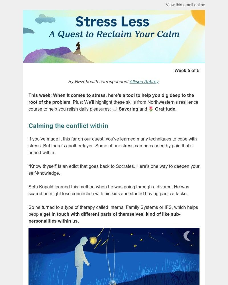 Screenshot of email with subject /media/emails/a-self-led-tool-to-reduce-stress-and-anxiety-05b574-cropped-ff4e3055.jpg