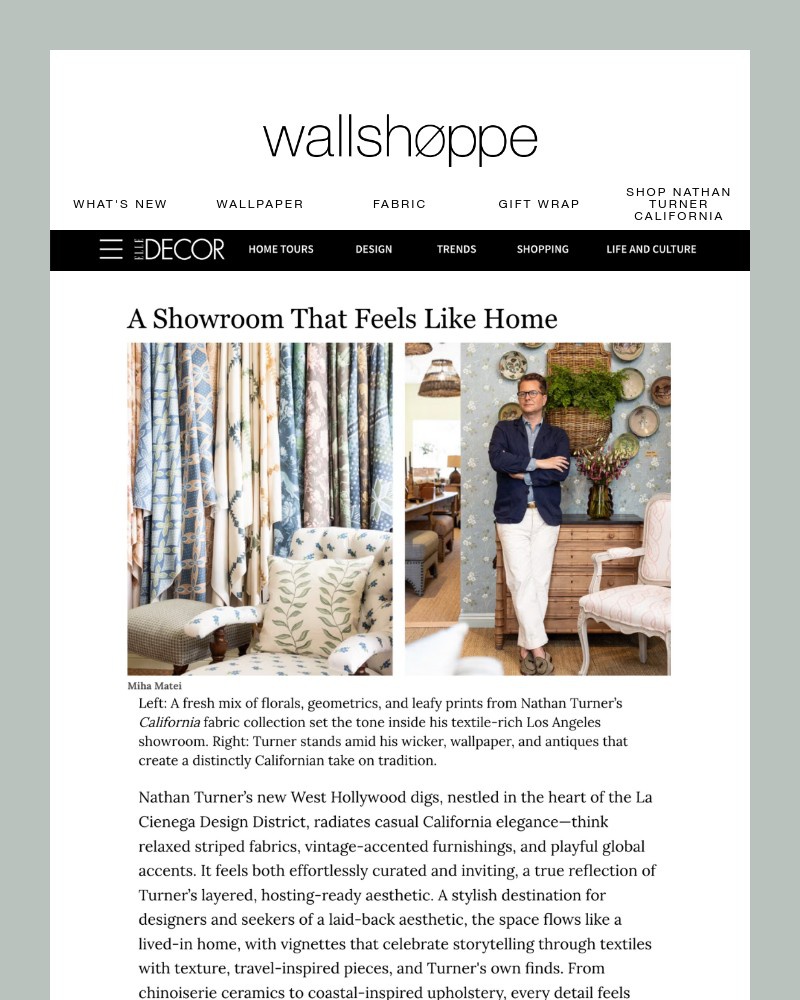 Screenshot of email with subject /media/emails/a-showroom-that-feels-like-home-0293f7-cropped-9a449357.jpg