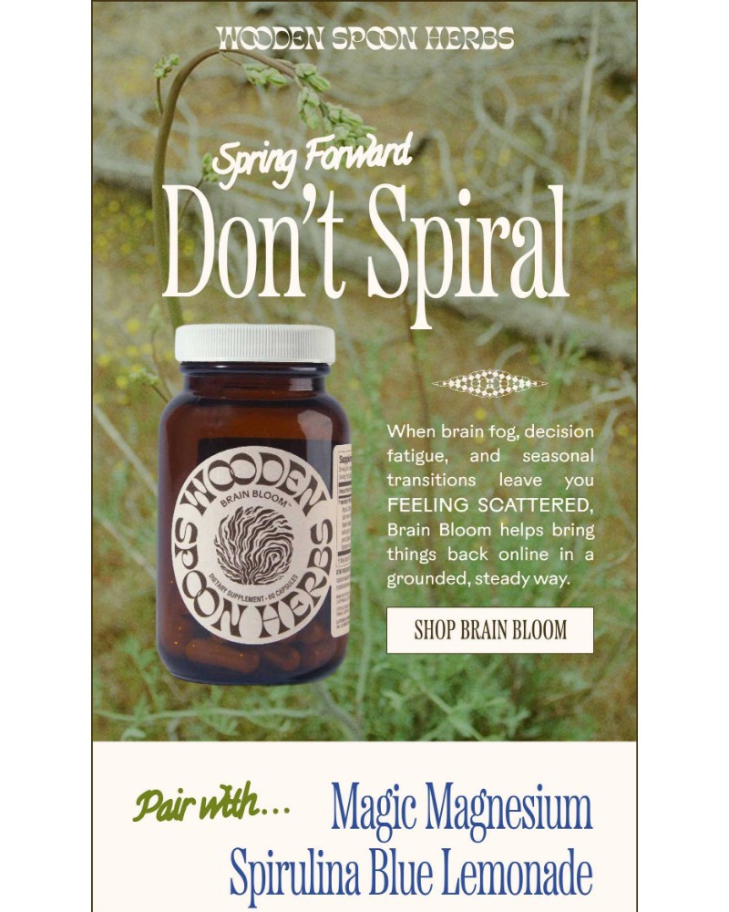 Screenshot of email sent to a Wooden Spoon Herbs Newsletter subscriber