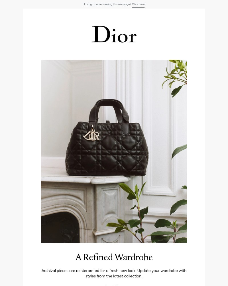 Screenshot of email sent to a Dior Newsletter subscriber