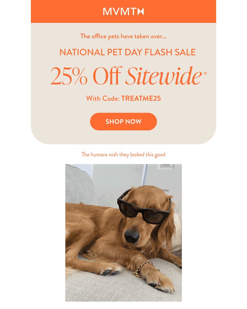 Screenshot of email with subject /media/emails/a-special-message-from-the-mvmt-office-pets-86c14b-cropped-51af7ab9.jpg
