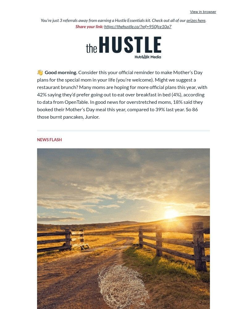 Screenshot of email sent to a The Hustle Newsletter subscriber