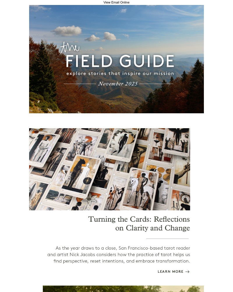 Screenshot of email with subject /media/emails/a-supper-in-season-tarot-reflections-on-change-5aafa7-cropped-2c030f26.jpg