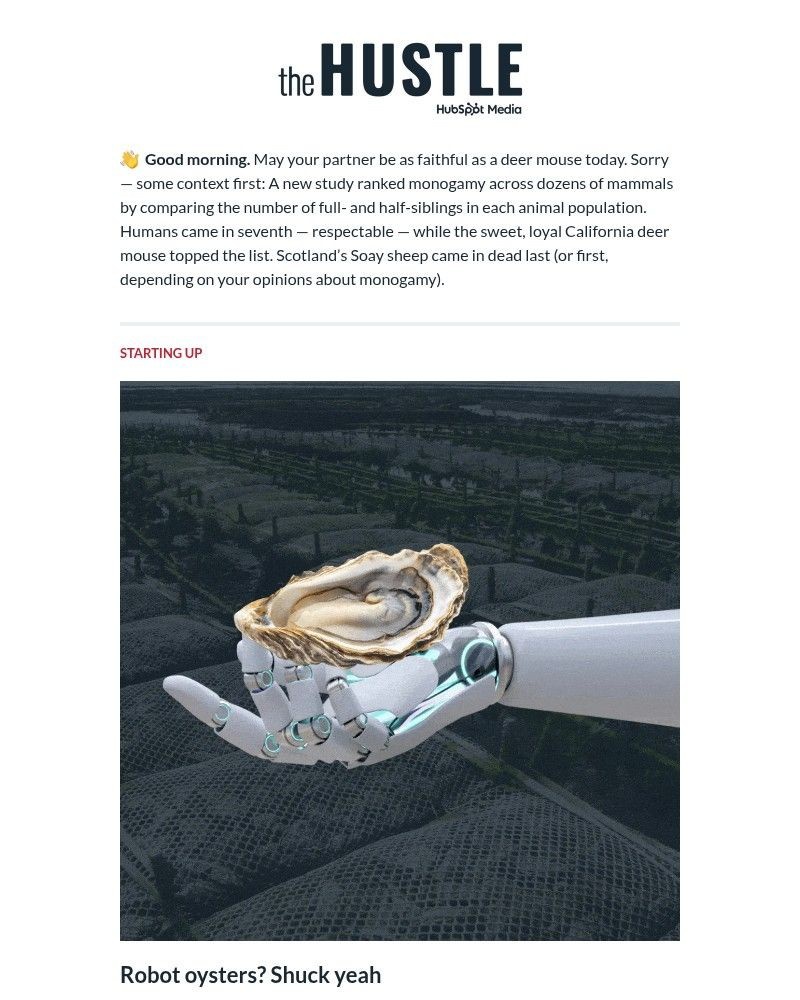 Screenshot of email with subject /media/emails/a-surprising-trend-65badc-cropped-e03e4f0f.jpg