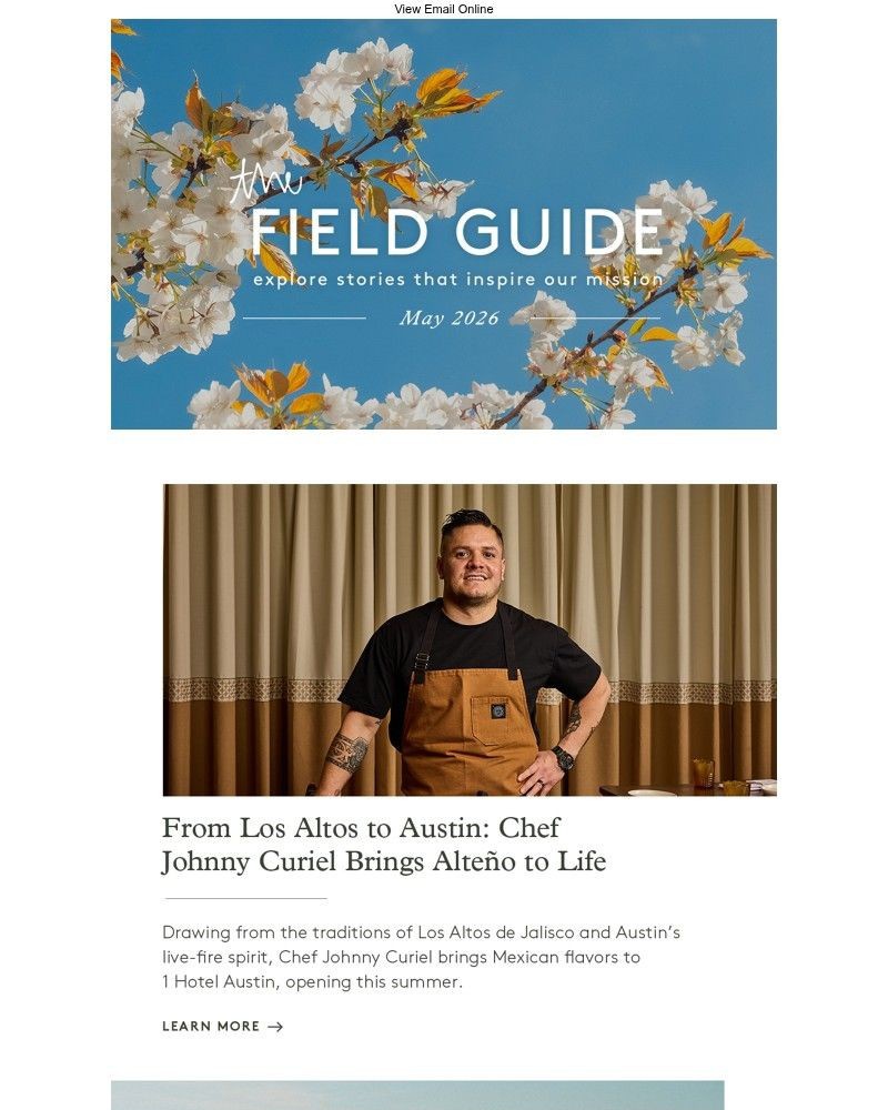 Screenshot of email sent to a 1 Hotels Newsletter subscriber