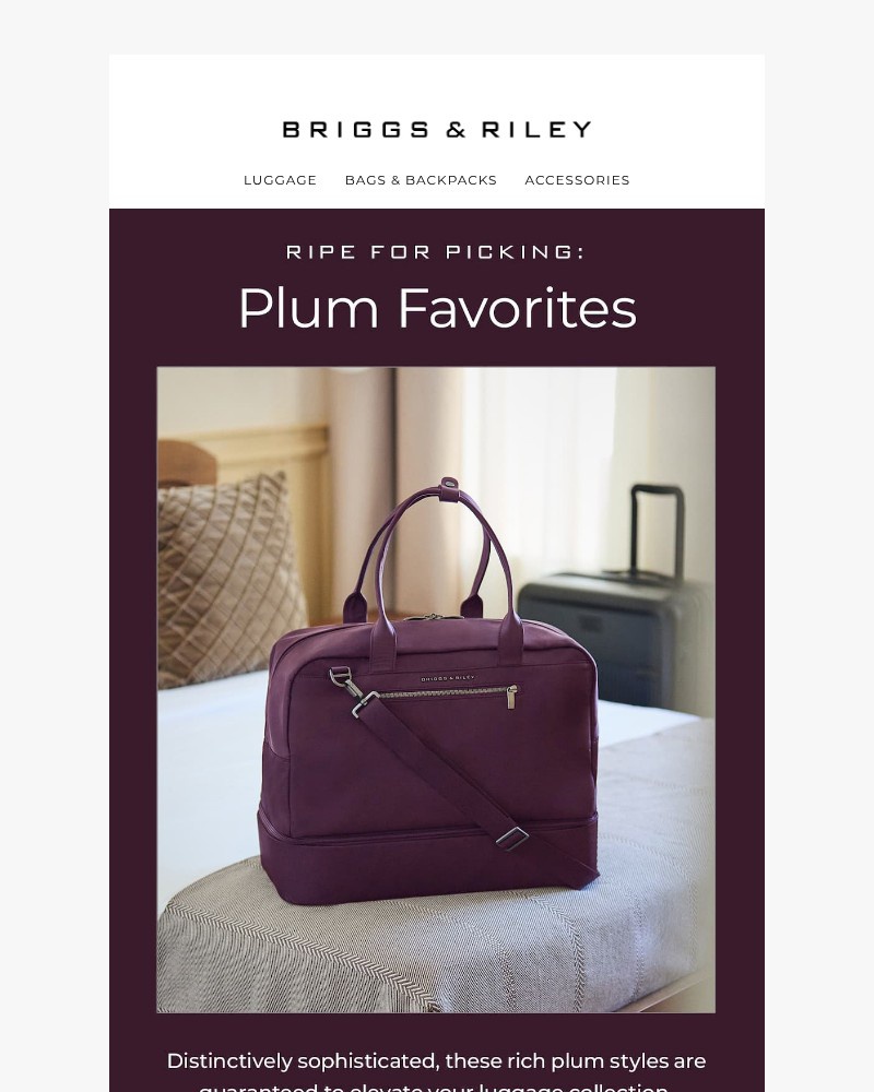 Screenshot of email with subject /media/emails/a-taste-of-plum-09d839-cropped-02ae1bc9.jpg