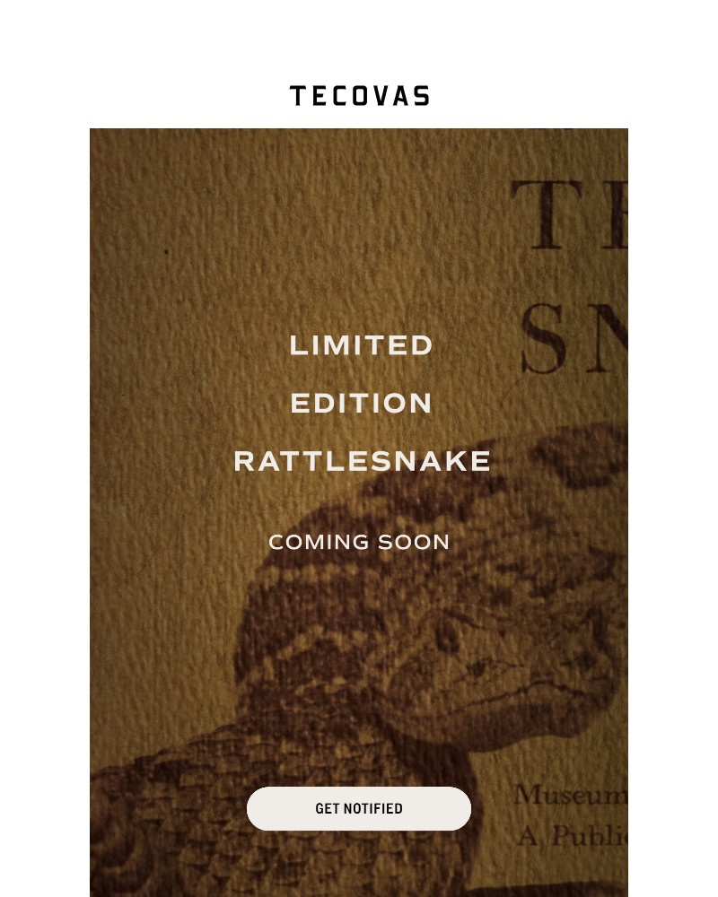 Screenshot of email with subject /media/emails/a-tecovas-first-ae4612-cropped-ccdc8712.jpg