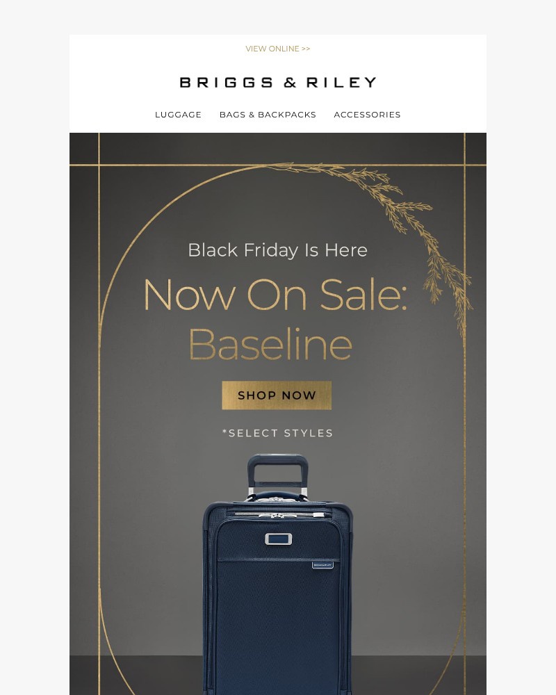 Screenshot of email with subject /media/emails/a-thanksgiving-treat-inside-62b866-cropped-6c9df223.jpg