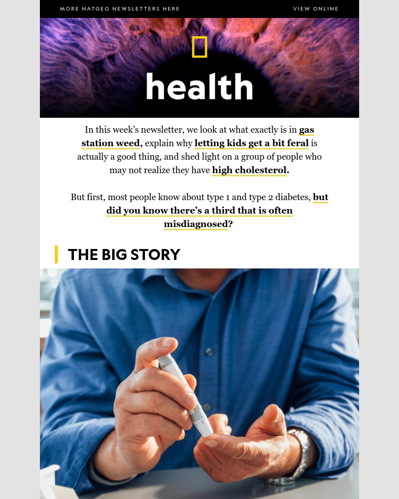 Screenshot of email with subject /media/emails/a-third-type-of-diabetes-why-you-should-let-kids-run-wild-what-is-in-gas-station-_hUrGWZf.jpg