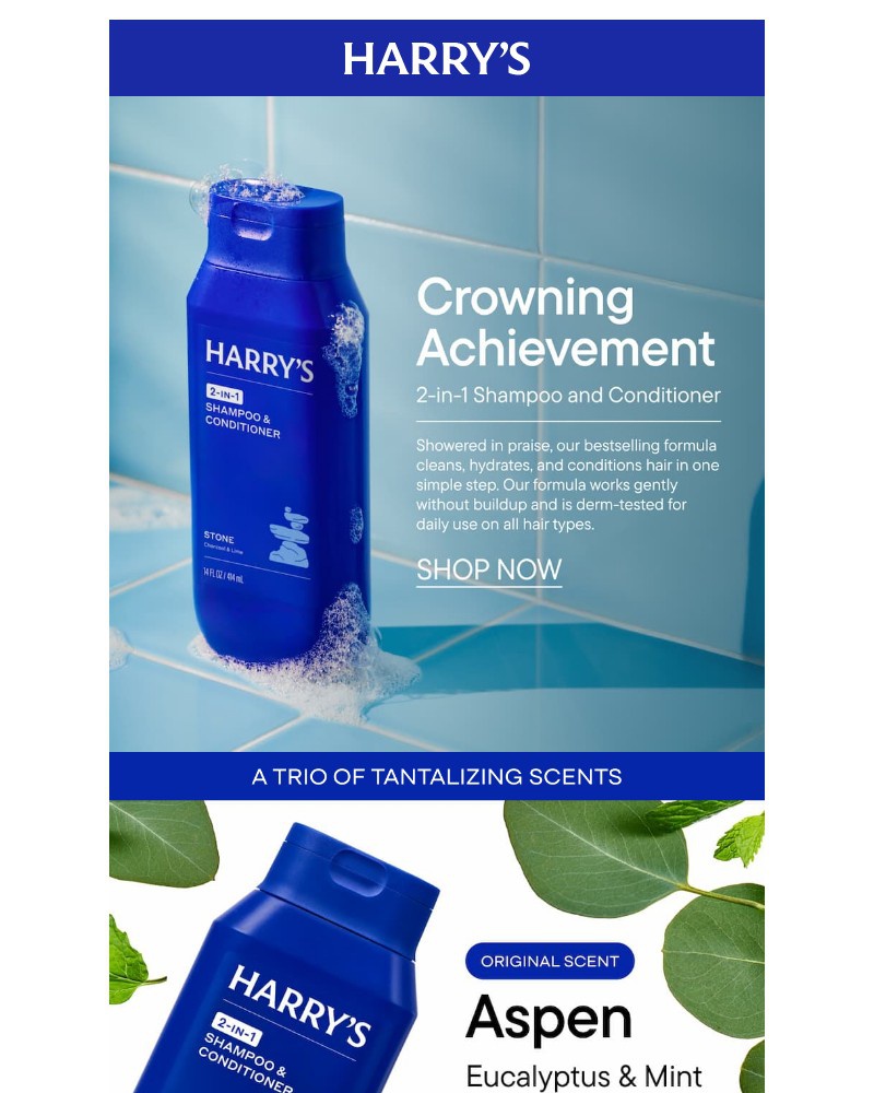 Screenshot of email sent to a Harry's Cart abandoner