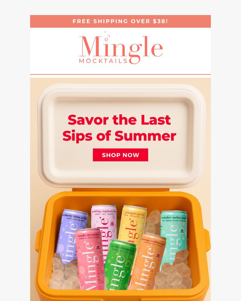 Screenshot of email with subject /media/emails/a-toast-to-endless-summer-f952fc-cropped-df78ee02.jpg