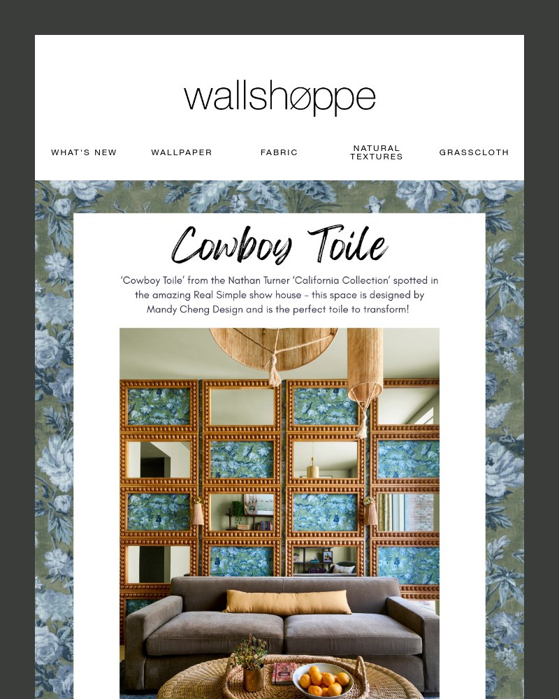 Screenshot of email with subject /media/emails/a-touch-of-cowboy-toile-yes-please-c3cb87-cropped-12a50dfa.jpg