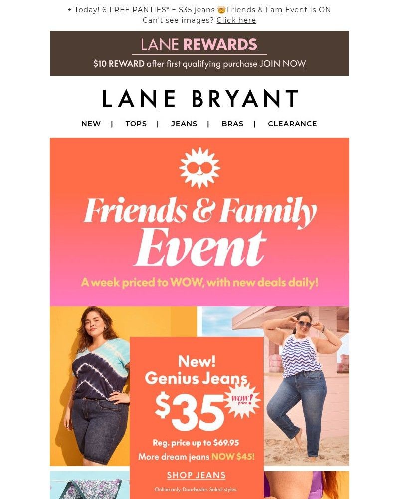 Screenshot of email sent to a Lane Bryant Newsletter subscriber